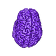 brain-1-no-cerebellum.stl Бесплатный STL файл Brain・Объект для скачивания и 3D печати