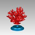 mercan_rev1_1.jpg plantadores de coral