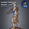 4.jpg Shore trooper Squad leader Fan art Star wars