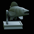 zander-trophy-37.png zander / pikeperch / Sander lucioperca fish in motion trophy statue detailed texture for 3d printing