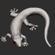 Day-Gecko10.jpg Day Gecko 3D print model