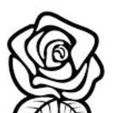 rose.jpg Rose Flower Cookie Cutter - 4 sizes, Sharp Cutting Edge!