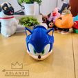 20250713_21124200.jpg Suporte para o Sonic Controller  (Sem AMS e com AMS)