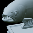 Rainbow-trout-trophy-44.png rainbow trout / Oncorhynchus mykiss fish in motion trophy statue detailed texture for 3d printing