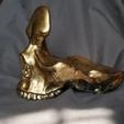 20220709_164818.jpg Óculos de caveira e suporte para trocos