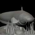 sumec-2-11.png catfish / Siluriformes / sumec velký underwater statue detailed texture for 3d printing