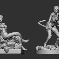 printed.jpg STL file Tabaxi Rogue double miniature・3D print model to download