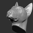 17.jpg Bull Terrier dog for 3D printing