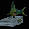 mahi-mahi-mouth-statue-7.png fish mahi mahi / common dolphin fish open mouth statue detailed texture for 3d printing