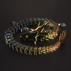 DSC_1842-bis.jpg dragon articulé