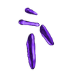 Stego_Plates_Tail_2.stl Free STL file Stegosaurus Skeleton・3D printing design to download
