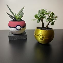 image_67162625.jpg Pot de pokéball