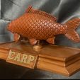 IMG_7593.jpg fish sculpture of a carp with storage space for 3d printing