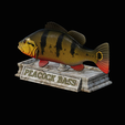 Peacock-Bass-statue-4-3-10.png FISH in motion Peacock bass (Cichla ocellaris) stone base for 3d printing