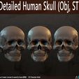 Highly-Detailed-Human-Skull-004.jpg Highly Detailed Human Skull