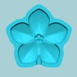 m3-4.jpg Molde de flor Forget-me-Not - Molde artificial em EVA