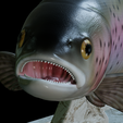 Rainbow-trout-trophy-20.png rainbow trout / Oncorhynchus mykiss fish in motion trophy statue detailed texture for 3d printing