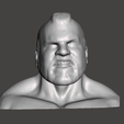 Screenshot-1566.png WWE WWF LJN Style Animal Head Sculpt