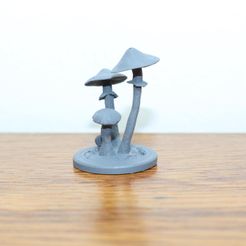 Psilocybe cubensis – MacroFungi Collection (8 of 10)