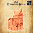 Old-Commoner-House-2-re.jpg Old Commoner House 28 MM Tabletop Terrain