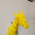 IMG_3765.jpeg Archivo STL gratuito Jirafa - Giraffe・Objeto imprimible en 3D para descargar