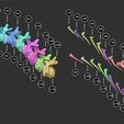 plan cerv.jpg Fichier OBJ Life size baby T-rex skeleton - Part 10/10・Modèle pour imprimante 3D à télécharger, Inhuman_species