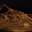 CrocoDragon-4.jpg STL-Datei Dragon Skeleton Diorama・3D-druckbare Vorlage zum herunterladen