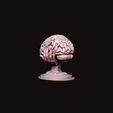 12.jpg Brain sculpture 3D print model