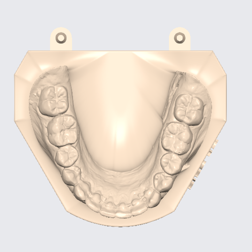 🦷 ARTICULATED UPPER AND LOWER DENTAL MODEL (3)・Free STL File for 3D ...