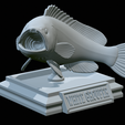 White-grouper-open-mouth-1-37.png fish white grouper / Epinephelus aeneus trophy statue detailed texture for 3d printing