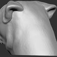 8.jpg Pug head for 3D printing