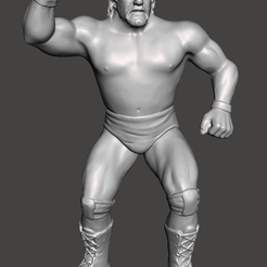 Screenshot-523.png WWE WWF LJN Style Hulk Hogan Custom Figure