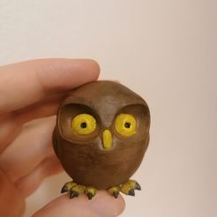 IMG_20210419_174122.jpg Décoration hibou mignon