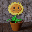 untitled1.png Sunflower plants vs zombies - sunflower plants vs zombies