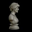 07.jpg Princess Diana 3D model ready to print