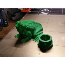 8de4c169cf147893a16549e7689f5273_preview_featured[1].jpg Free STL file Frog Geocache・3D printing model to download
