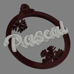 Pascal.png Marque place versión 2023 (bicolor) - Pascal