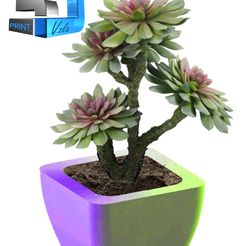 12.jpg STL file SUCCULENT POT MOLD OR CANDLE MOLD・Design to download and 3D print