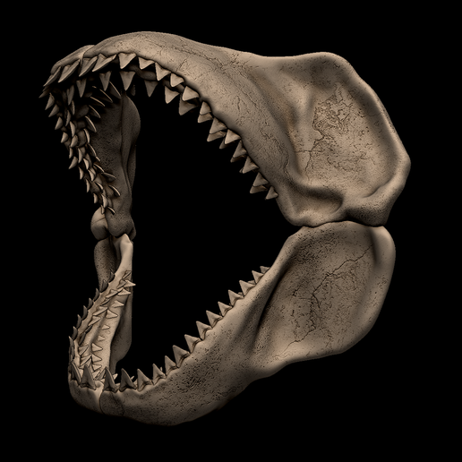 1.png Megalodon Shark Jaw