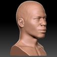 11.jpg Nelly bust for 3D printing