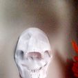 Snapchat-1315394373.jpg Skull decor / skull holder / skull wall decor / hanging skull