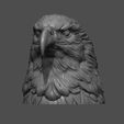 5.jpg Eagle