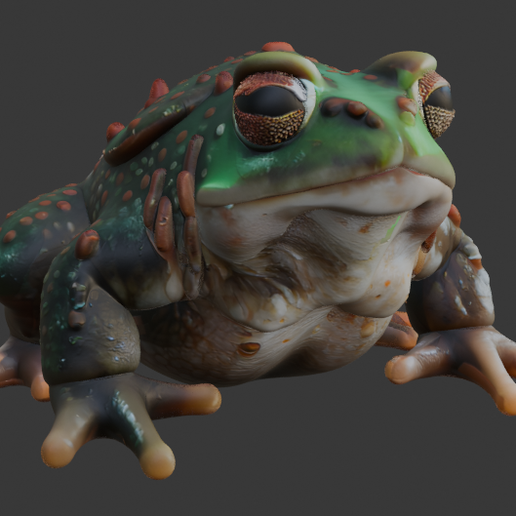 🐸 Giant Toad Collection (DND/TTRPG)・Free STL File for 3D printing・Cults