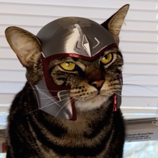 IMG_3298.jpeg Magnito Cat Helmet (X-Men)🪙