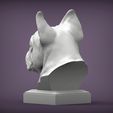 French_Bulldog4.jpg French Bulldog bust 3D print model