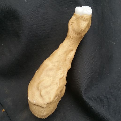 Chicken Drumstick