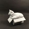 Preview3.jpg STL file Fat cat in box・Model to download and 3D print, YellowDay