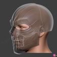 21b.jpg Black Mask - DC Comics Cosplay 3D print model