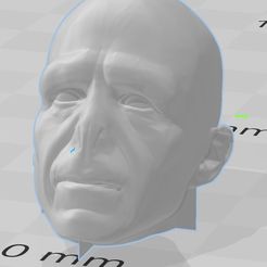 voldemort.jpg mascara de Voldemort