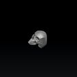 2321323154645665455.jpg Modelo de impresión 3D Skull Ring Version 2